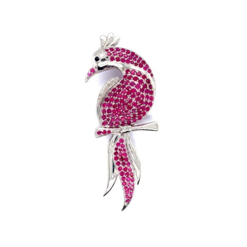 Macaw Brooch
