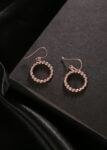 Circle of Life Earring