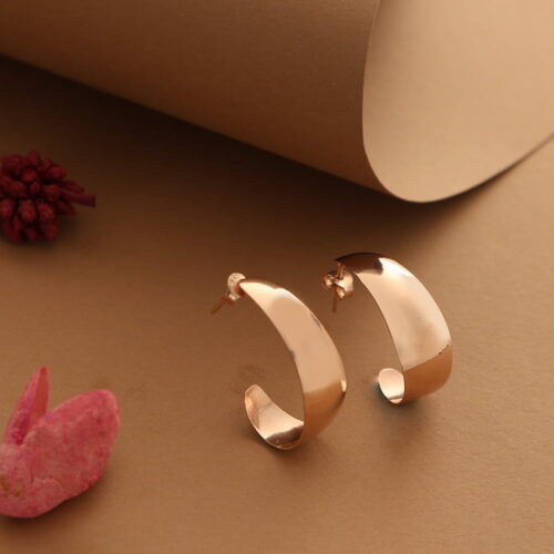 Laney 925 Silver Earrings 2